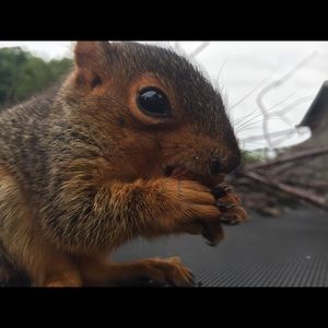 Meet your Posher, Astrid